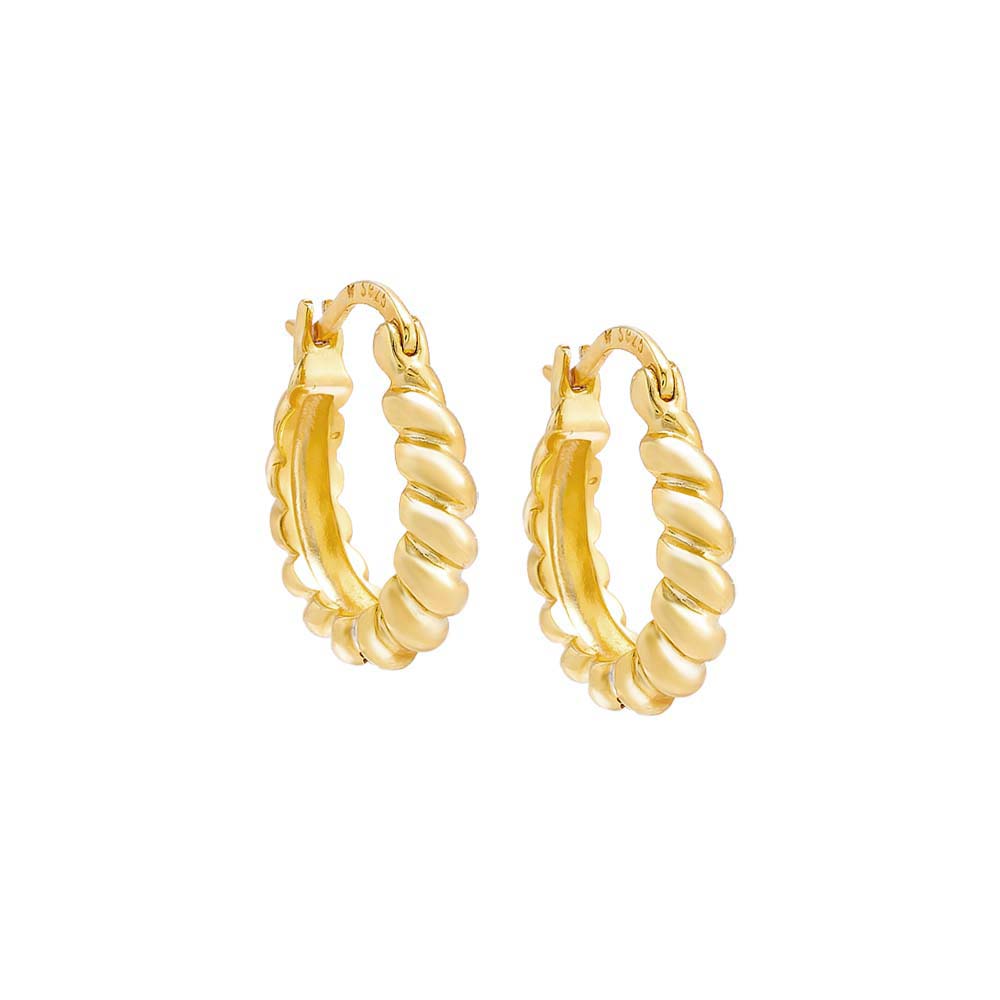 Graduated Twisted Hoop Earring